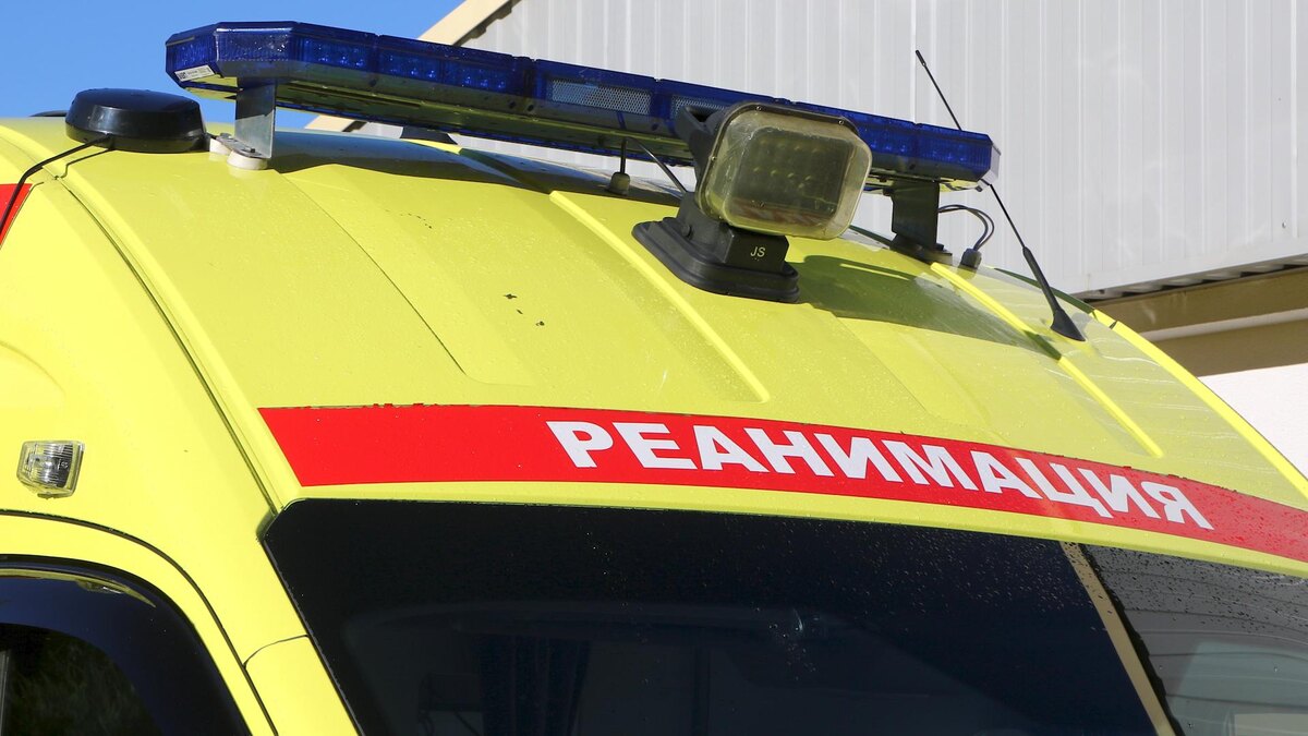    Фото: Maksim Konstantinov/globallookpress.com