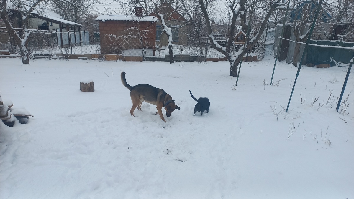 Это и другие фото в статье выполнены автором и принадлежат ему на условиях авторского права