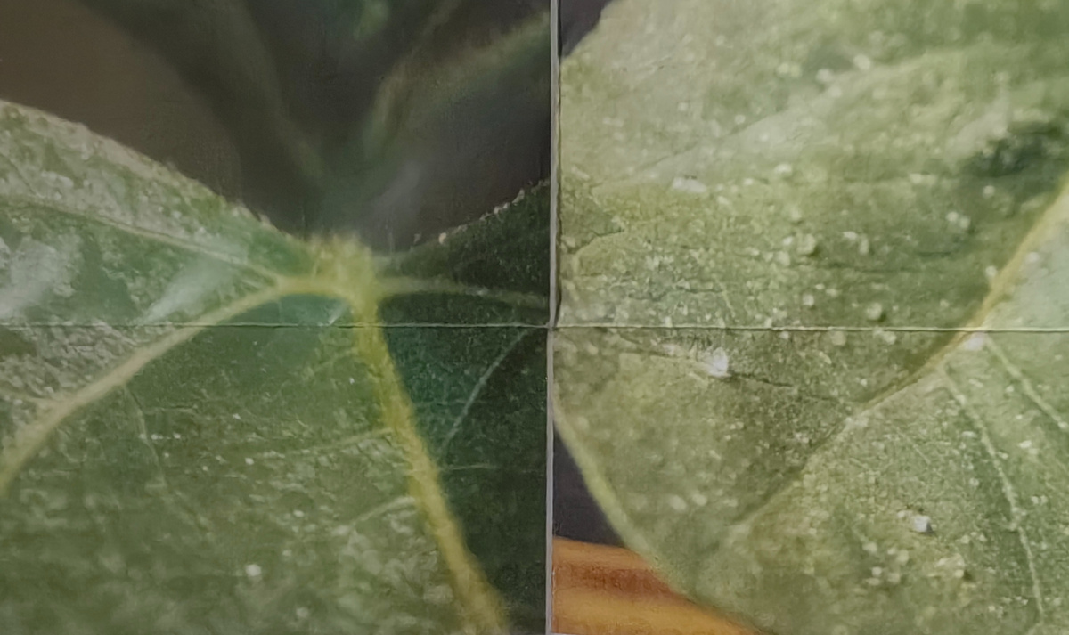 Слева - лист, обработанный смачивателем. Справа - просто лист. 