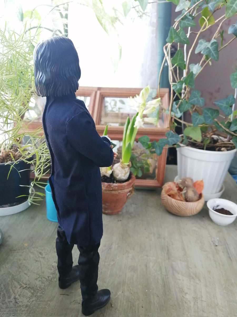 Северус в оранжерее