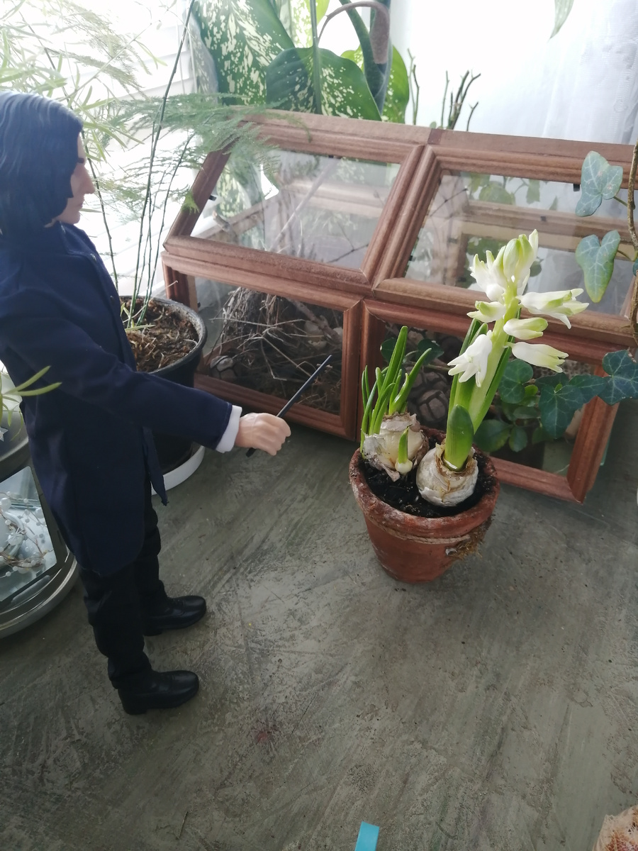 Отдвигает горшок