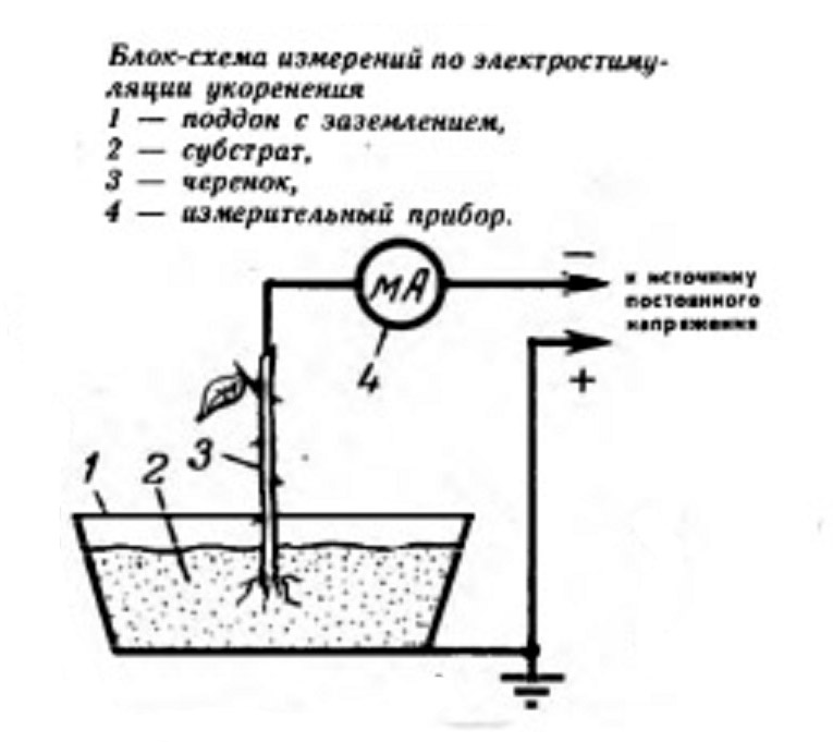 Рис 1. Эскиз установки