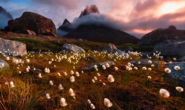 Природа острова