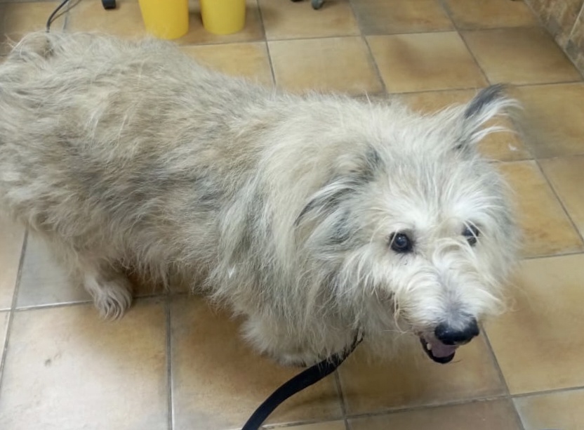 Не верится, что его больше нет с нами.