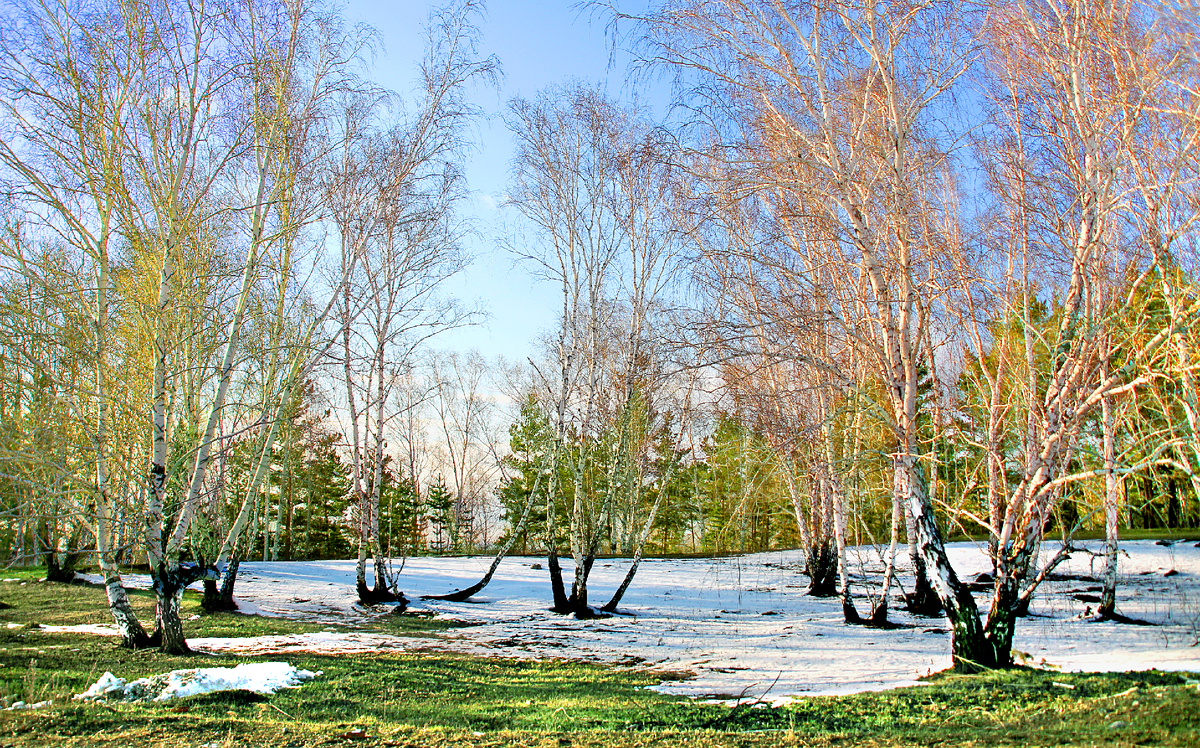 Фотография, стихотворение Василия Глуцкого