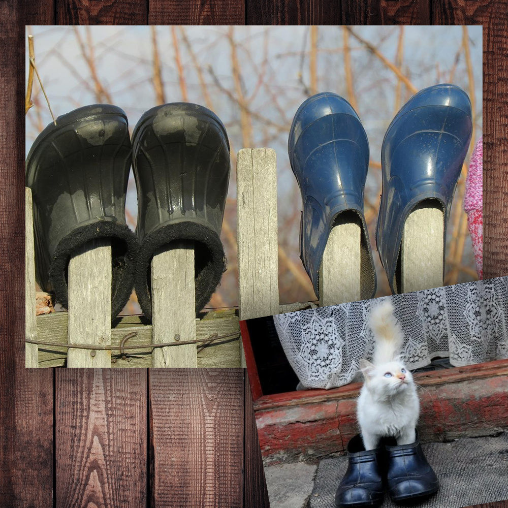 Фото с просторов интернета