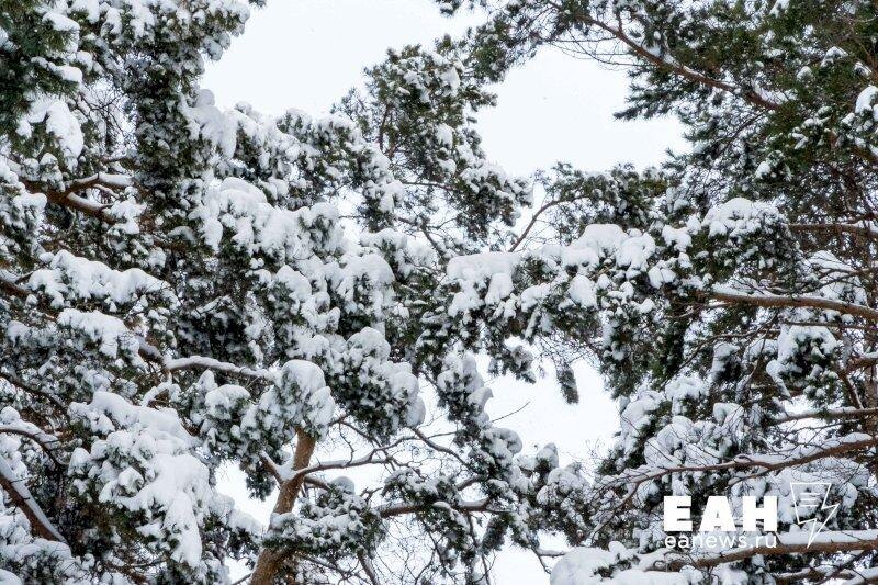    ЕАН. Архивное фото