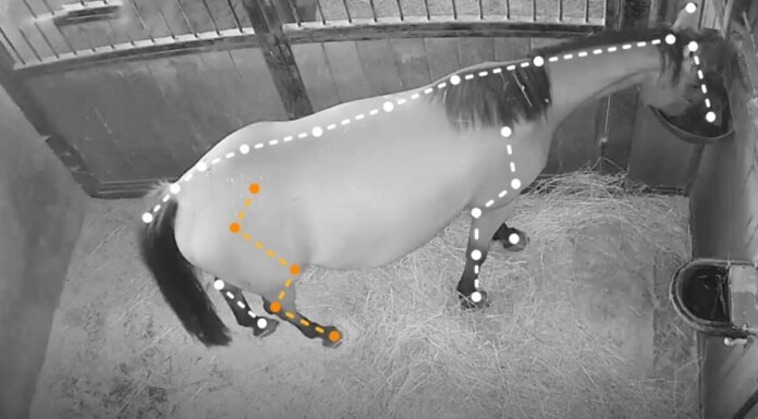    Фото: сайт Новосибирского областного инновационного фонда