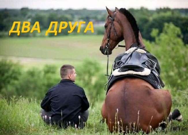 ИСТОРИЯ ДВУХ ДРУЗЕЙ