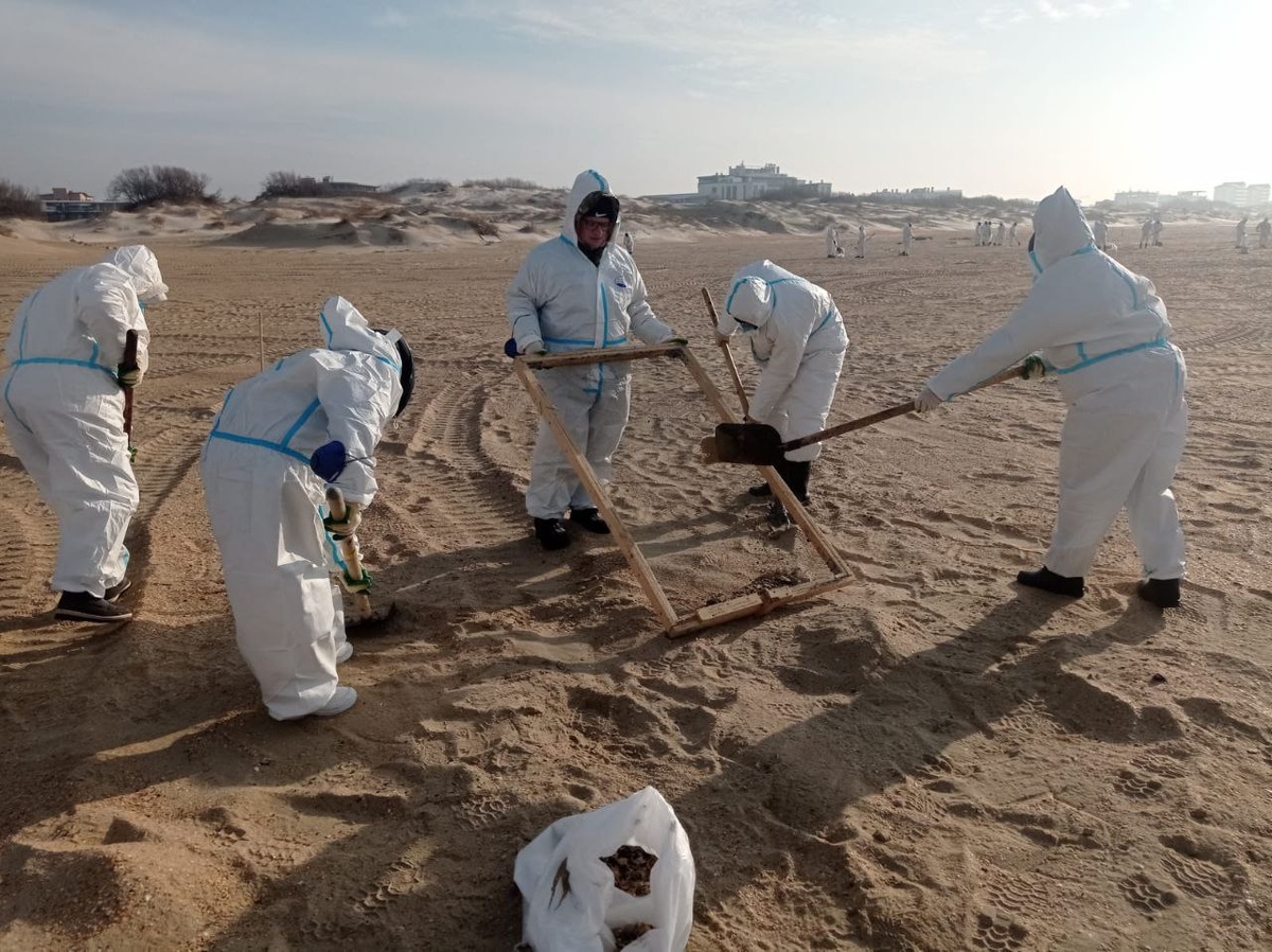    Фото: Оперштаб Кубани