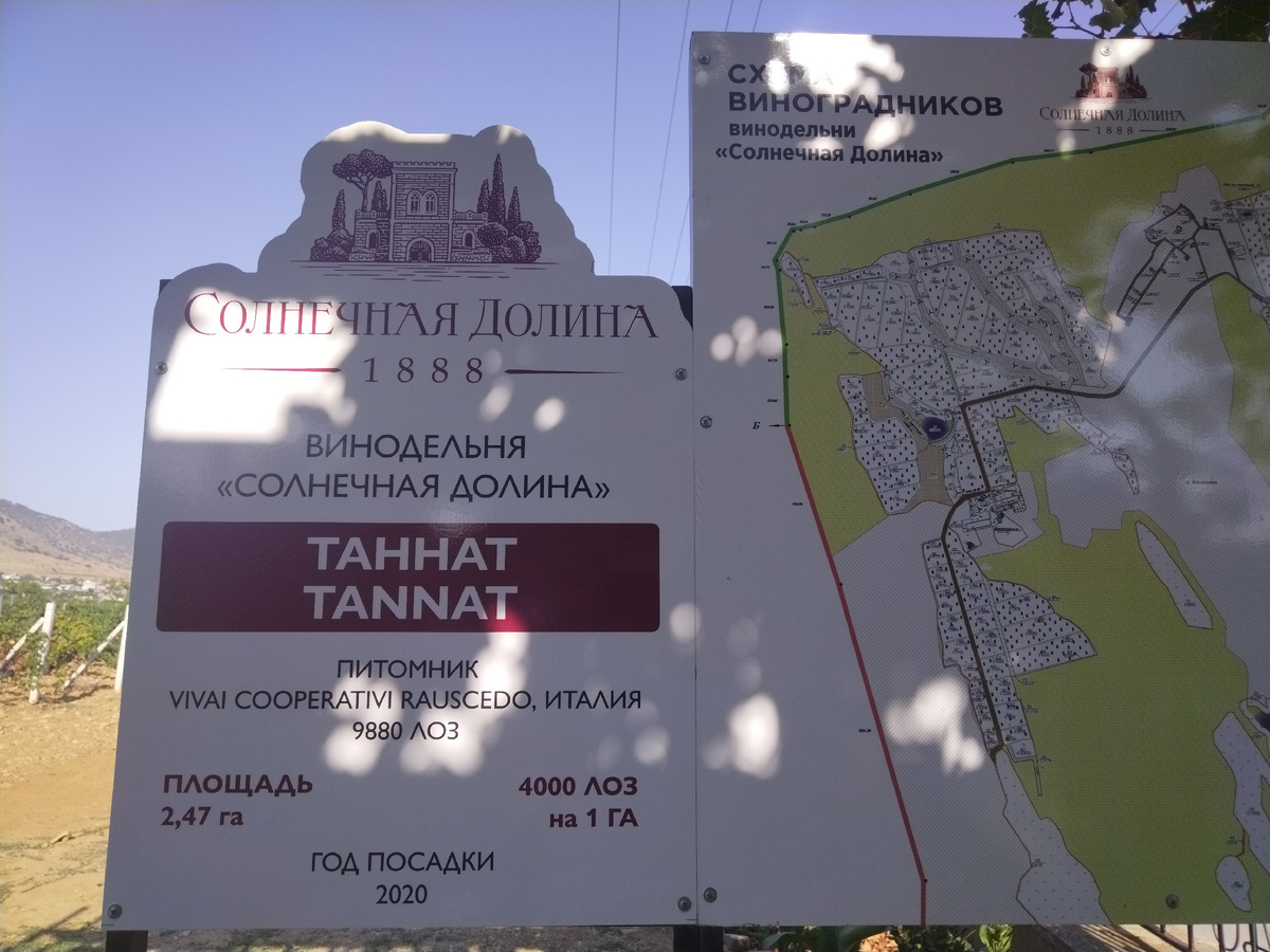 Виноградники