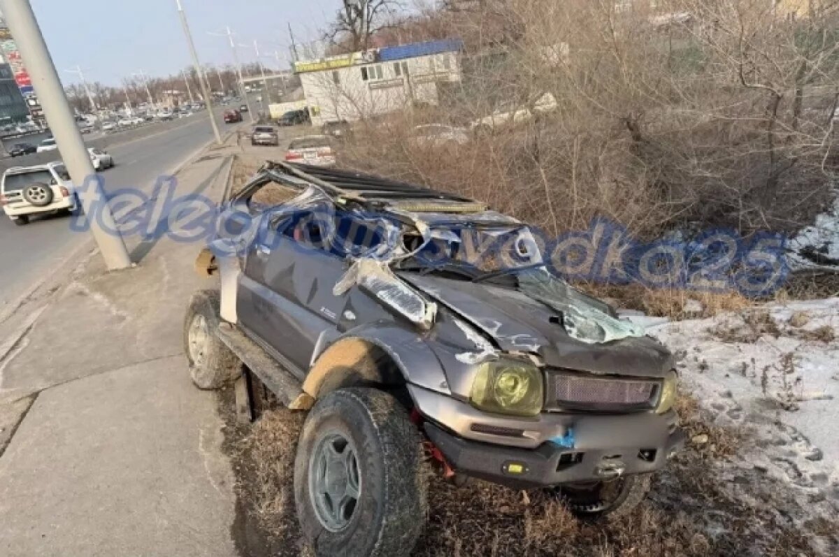    Причиной аварии стало то, что собака внезапно выбежала на дорогу