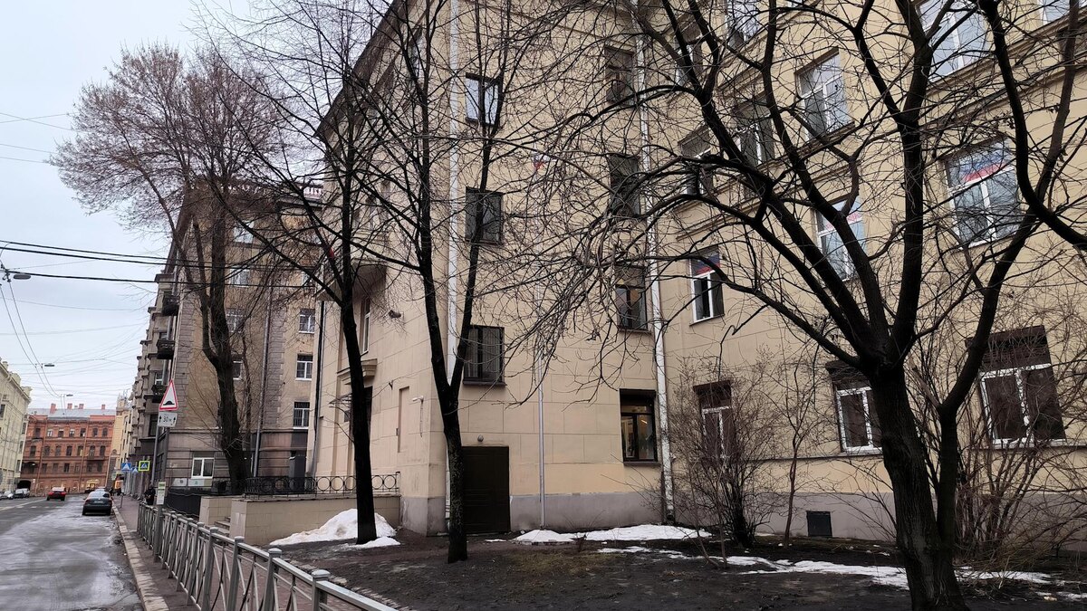    Фото: Maksim Konstantinov/globallookpress.com