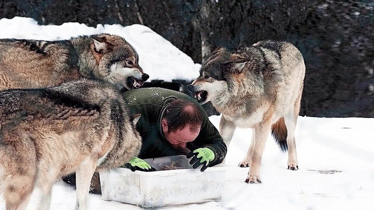 Фото из Яндекса