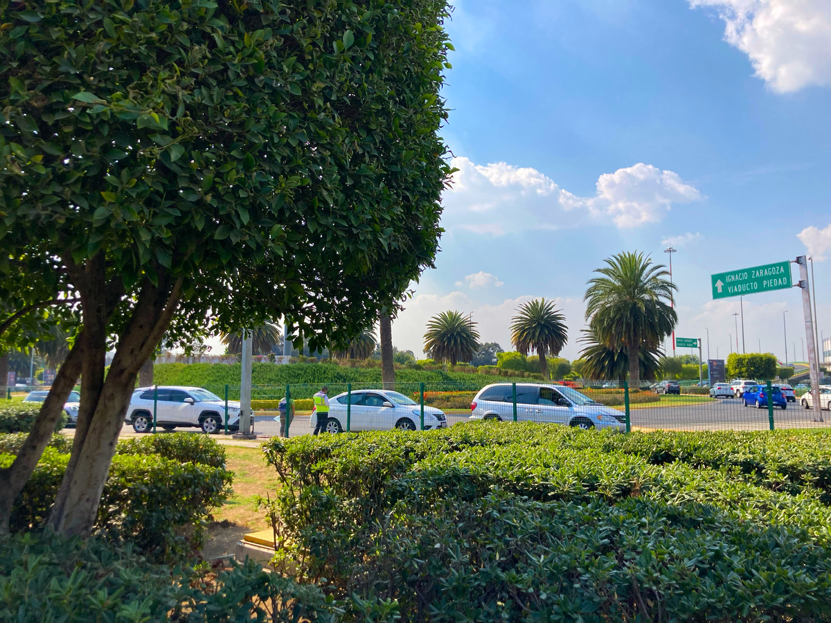 Зеленая территория возле аэропорта Мехико