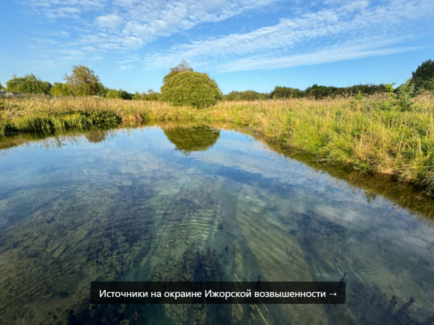 Фото с Дзен-канала "Полярная крачка"