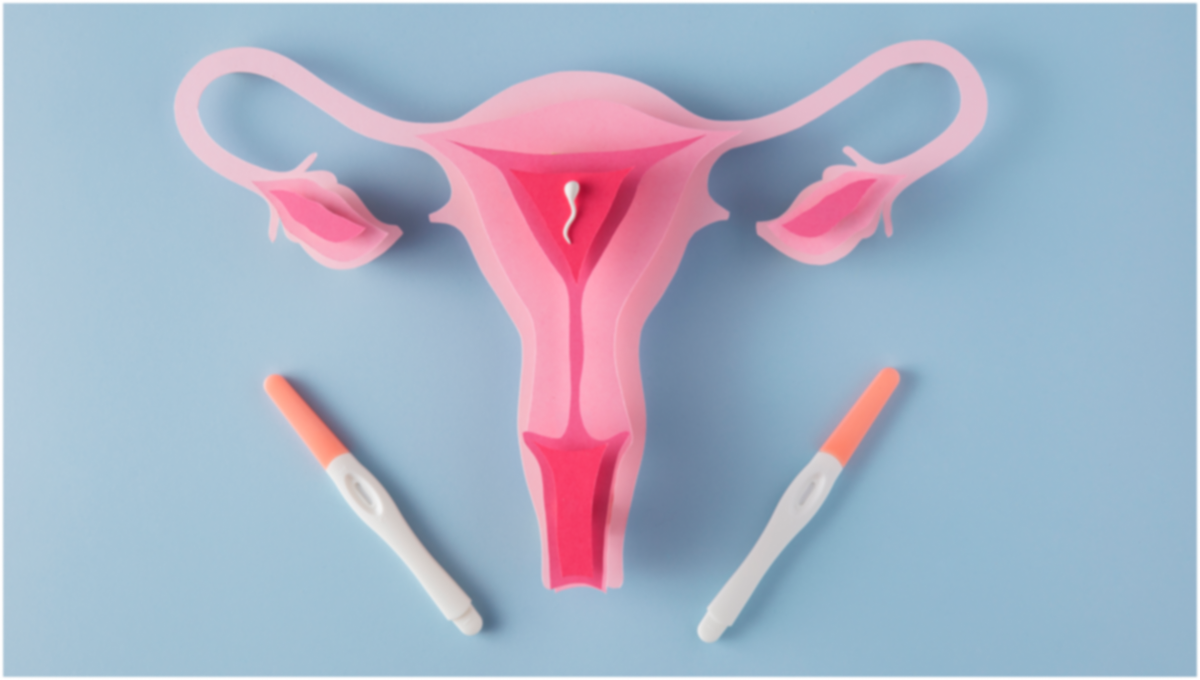 Почему эндометриоз препятствует беременности, Фото: freepik.com