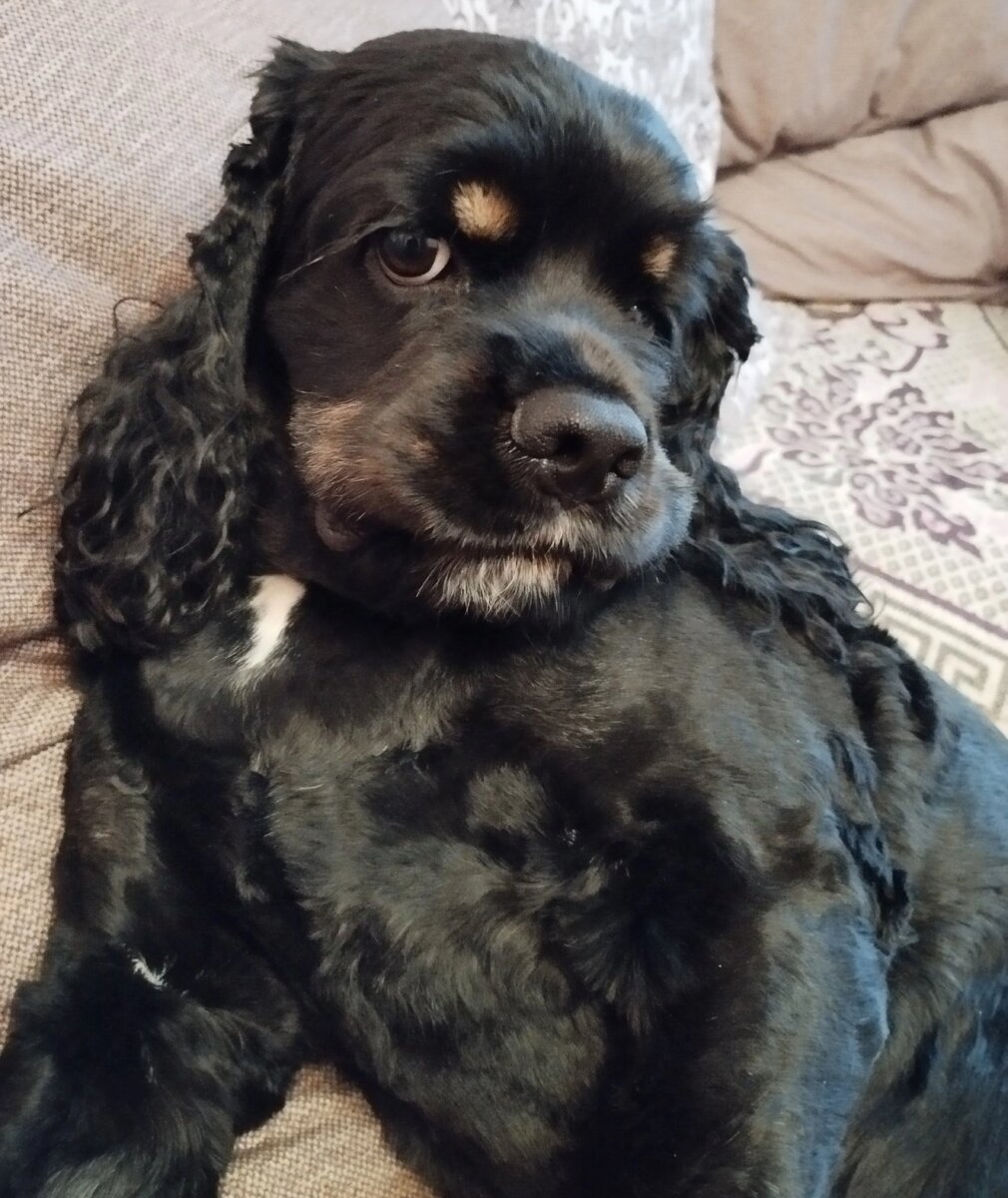 Скромница (личное фото)