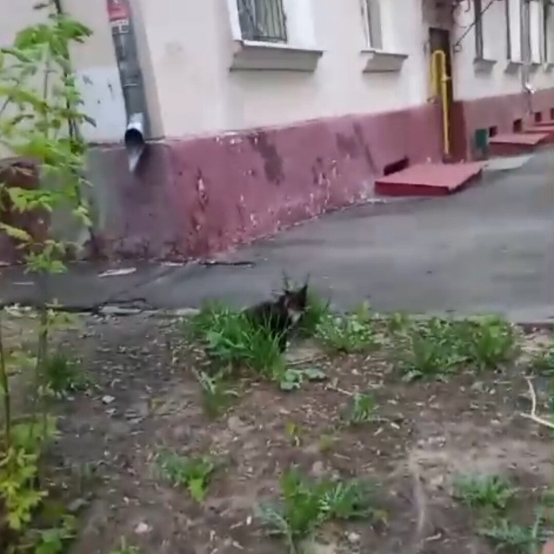 Скрин из присланного видео.