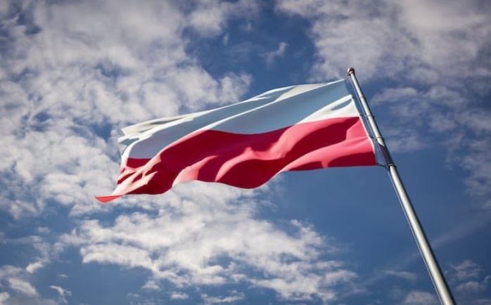    Фото: freepik.com/freepik Анфиса Слепцова