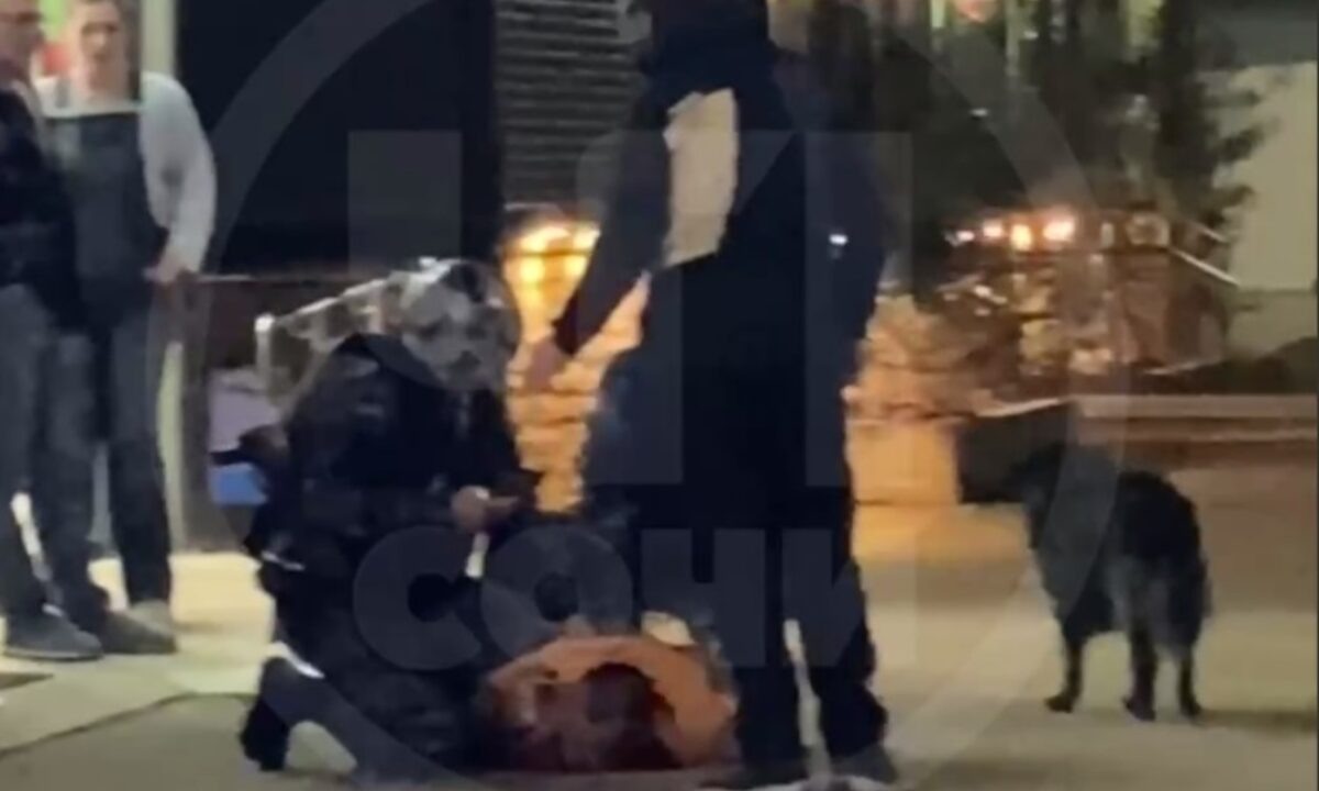    Фото t.me/chp_sochi/