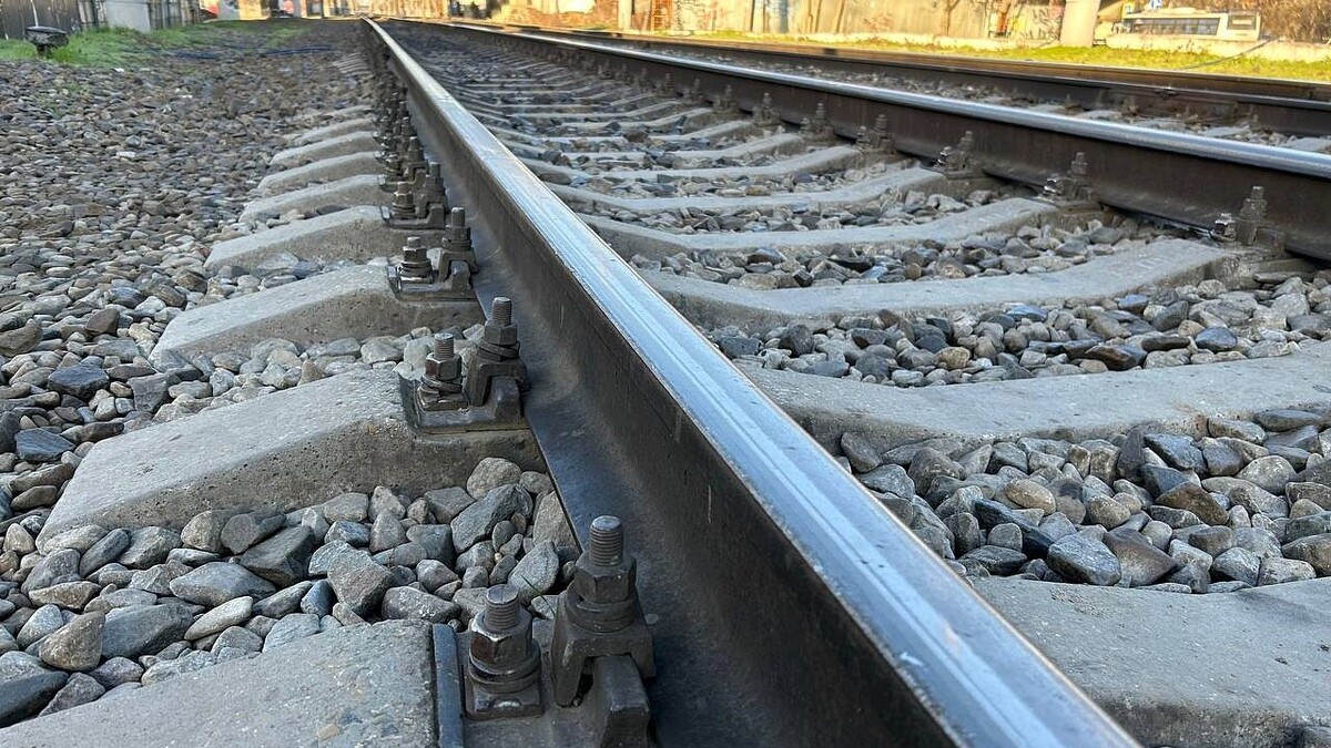    Фото: телеканал «Краснодар»