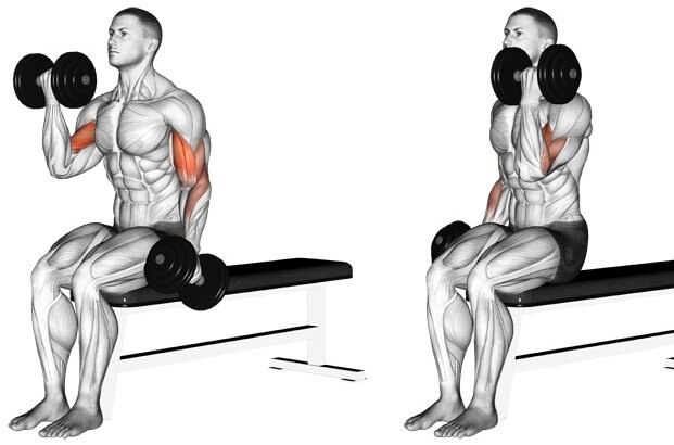 3 подхода по 8-10 повторений 
