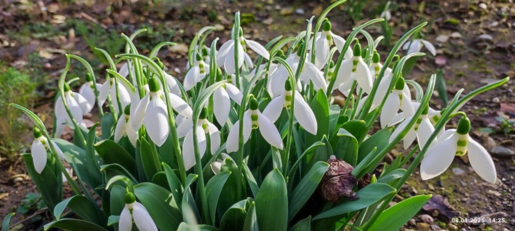    Фото с сайта t.me/adm_gelen