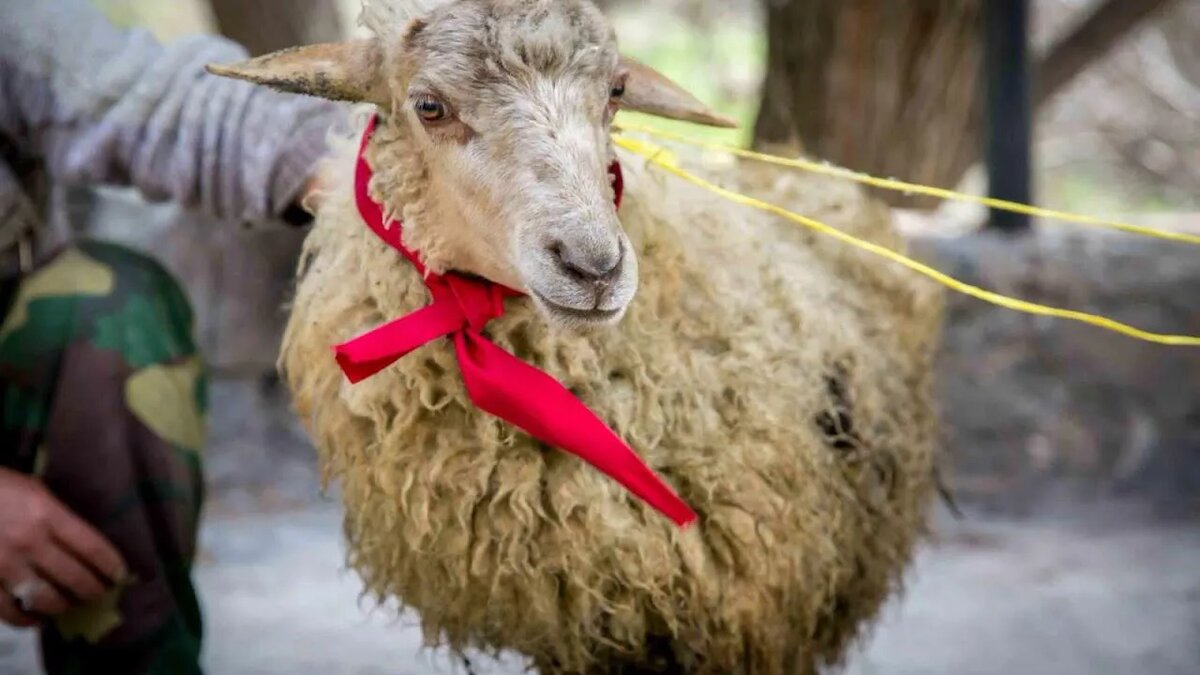  Photo : Screenshot / Fr. Aram (Der Aram)