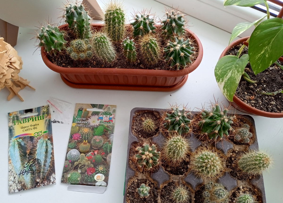 Мое богатство