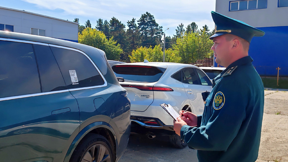 Иркутские таможенники за работой. Фото Иркутской таможни 