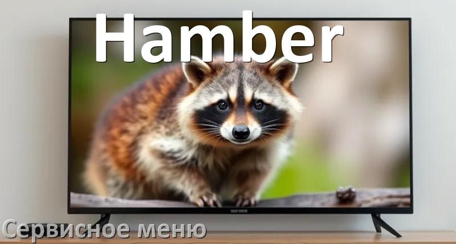 
Как на телевизоре Hamber войти в сервисное инженерное меню без пульта