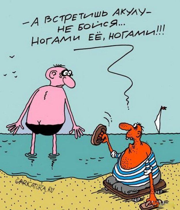 Яндекс картинки