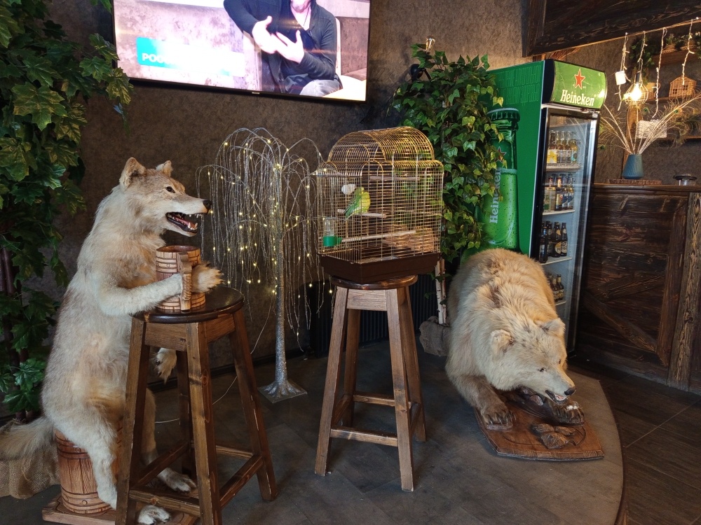 Вот они какие, гризли