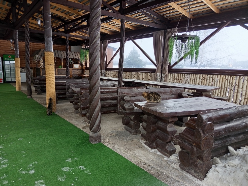 Летняя терраса, пока что там только полнопраные хозяева  котики.Листайте