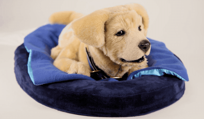 Робот-терапевт Tombot Puppy