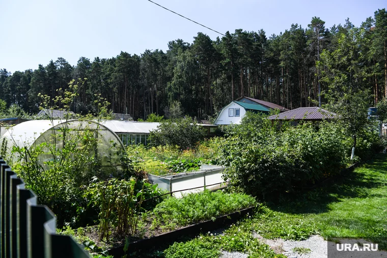 Сады в городе весной могут подорожать еще на 15%
Фото: Владимир Жабриков © URA.RU