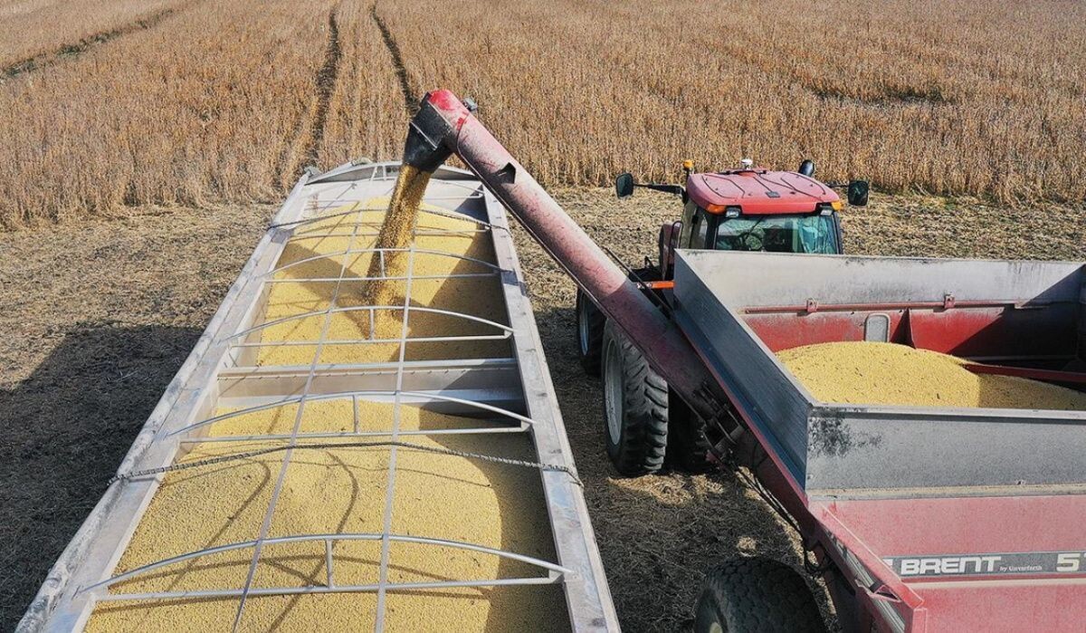     Сбор урожая сои в США. Источник: rbc.ru Автор фото: Joe Raedle / Getty Images