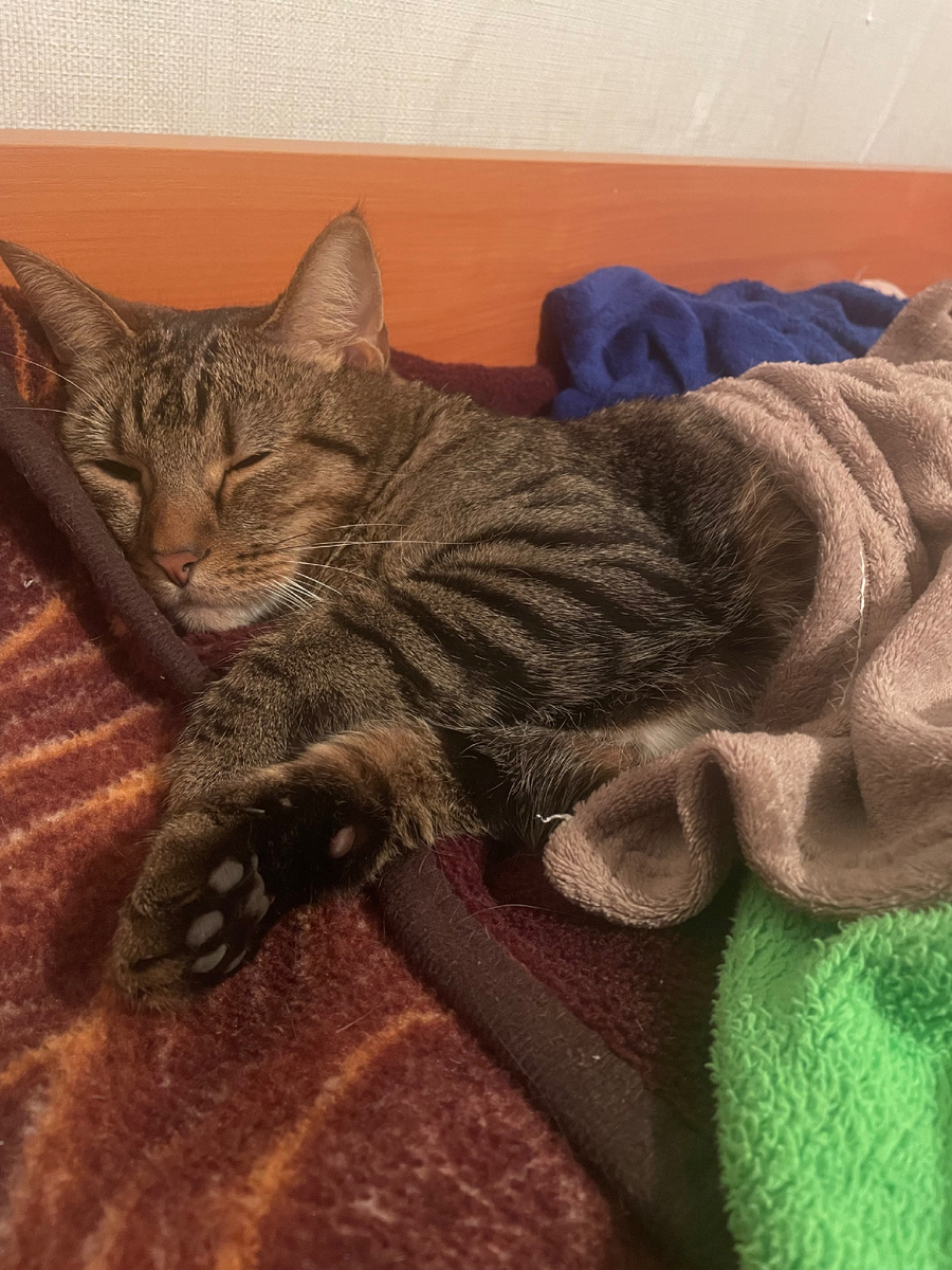 Отдых после путешествия