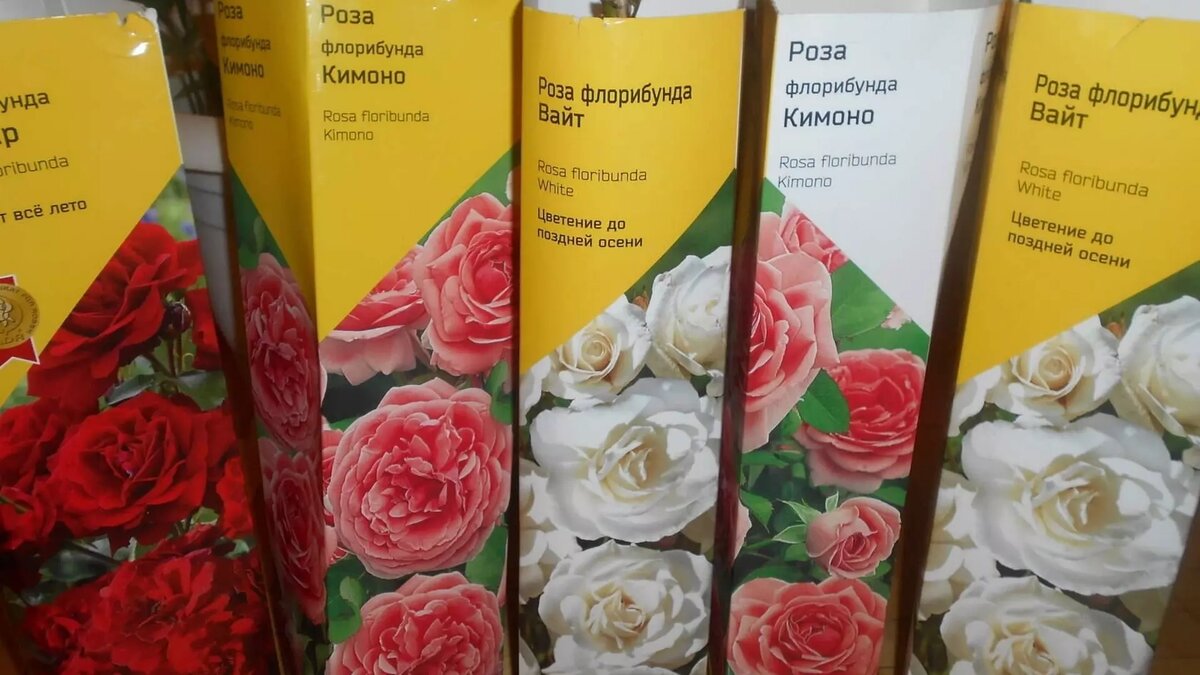     Автор: Нина Соловьева Источник: udm-info.ru