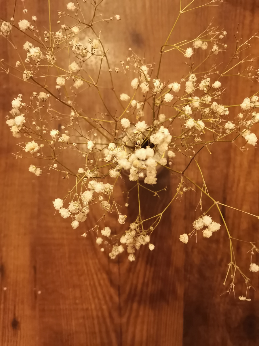 Не люблю я подбирать фото к статьям. Все-таки лучше у меня получается писать, чем подбирать визуал