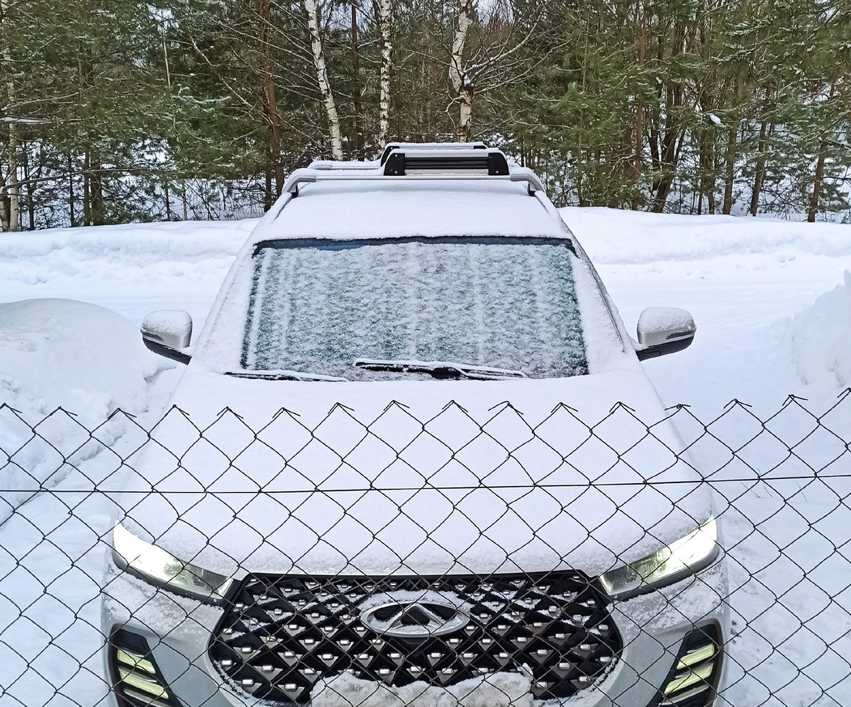 Зима 2023-2024 год