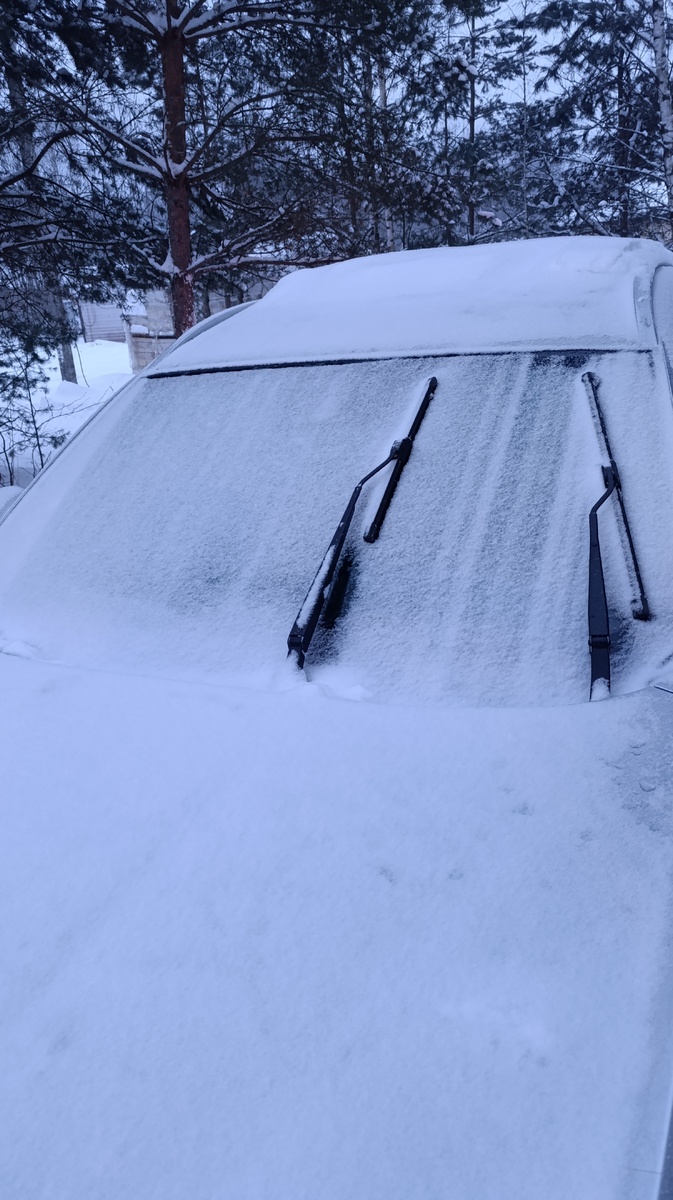 Сезон 2024-2025 годп