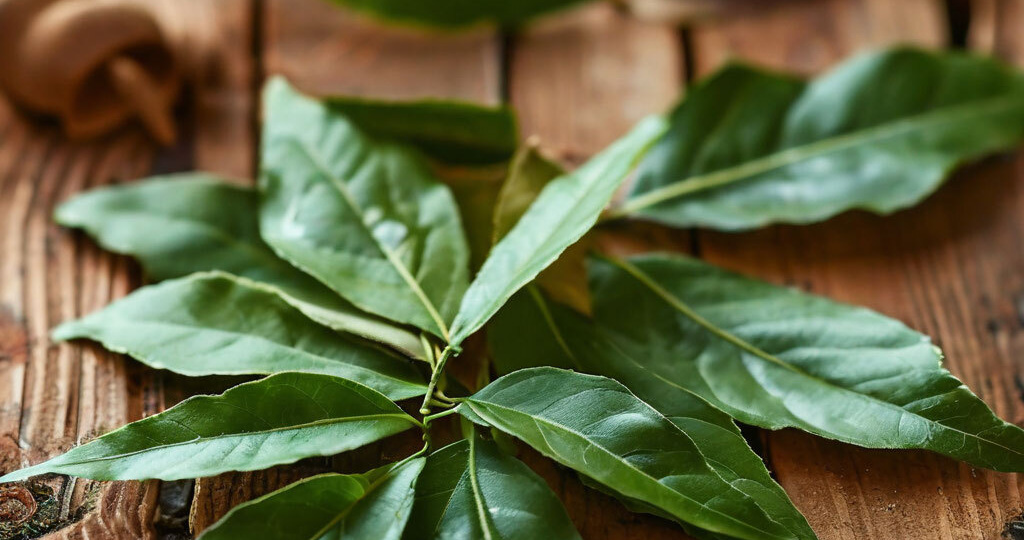 Волшебные свойста лаврового листа
