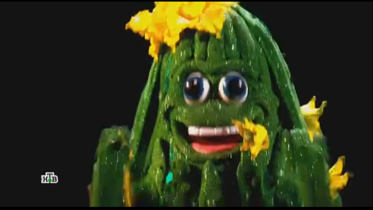 Фото-кадр из шоу "Маска" (НТВ)