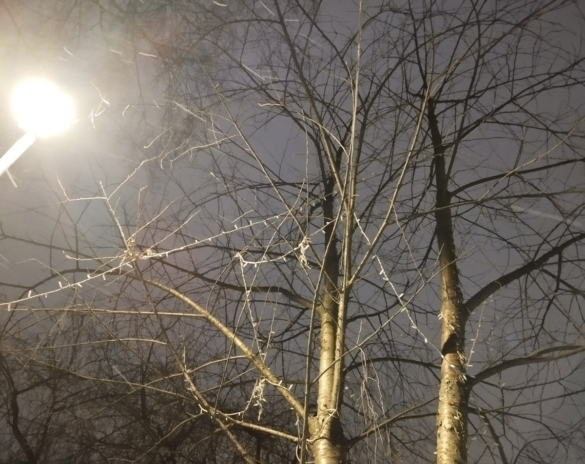 16.02.2025 г, воскресенье. Вечер в нашем дворе. ЗДЕСЬ и далее фото автора и(или) из личного архива автора.