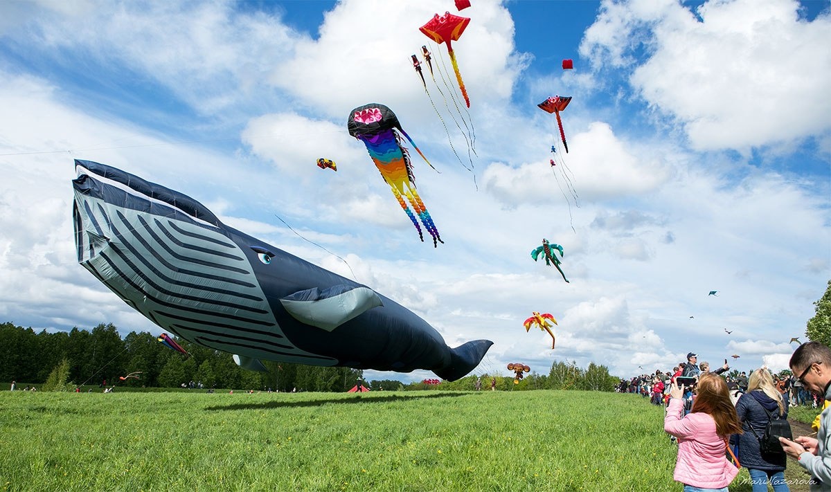 Улететь, как воздушный змей)