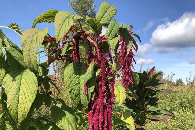   Фото: Андрей Яцына