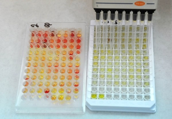 Фото: РИА Новости/ Алексей Сухоруков