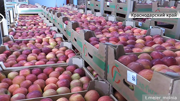     Фото: t.me/er_molnia   
 Текст: Ольга Иванова